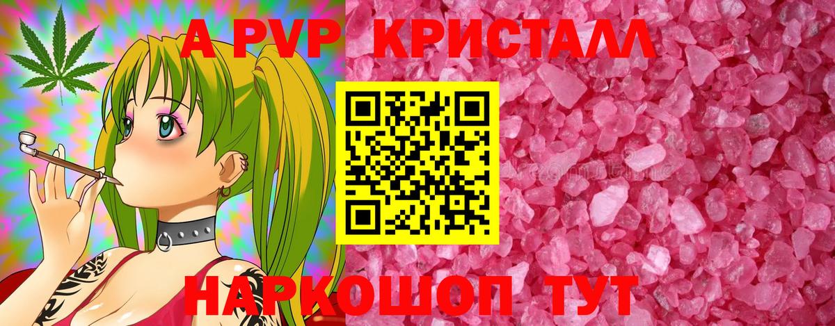APVP СК Курчатов