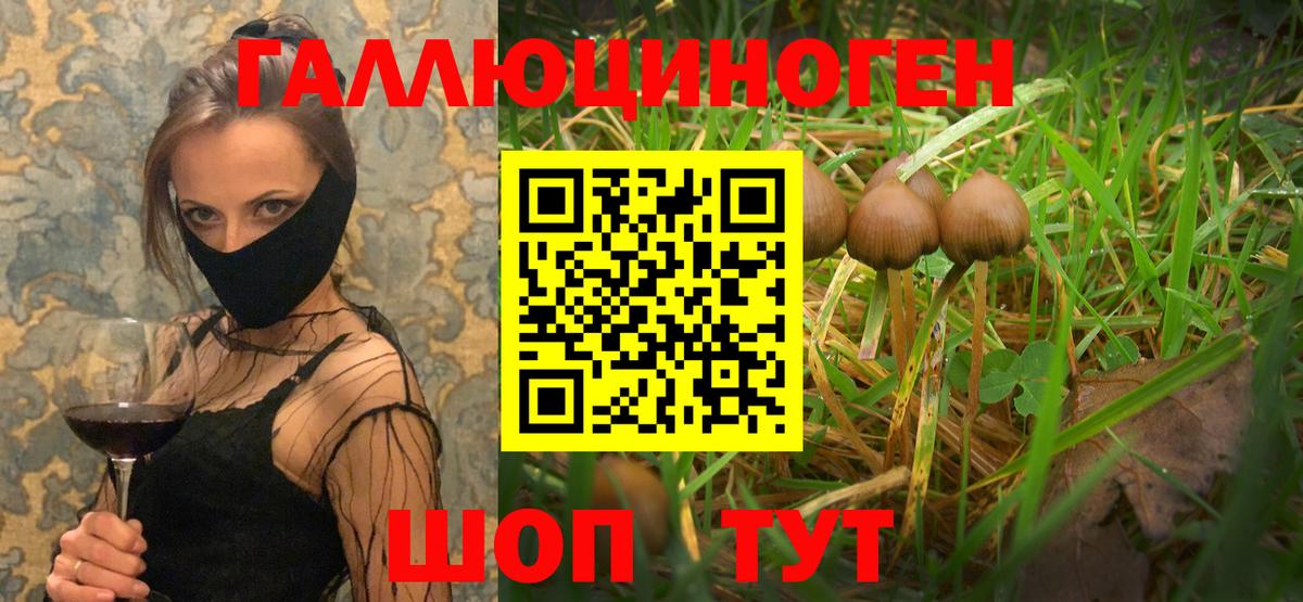 Псилоцибиновые грибы Magic Shrooms  Галлюциногенные грибы Psilocybine cubensis  Курчатов  Вход с VPN 
